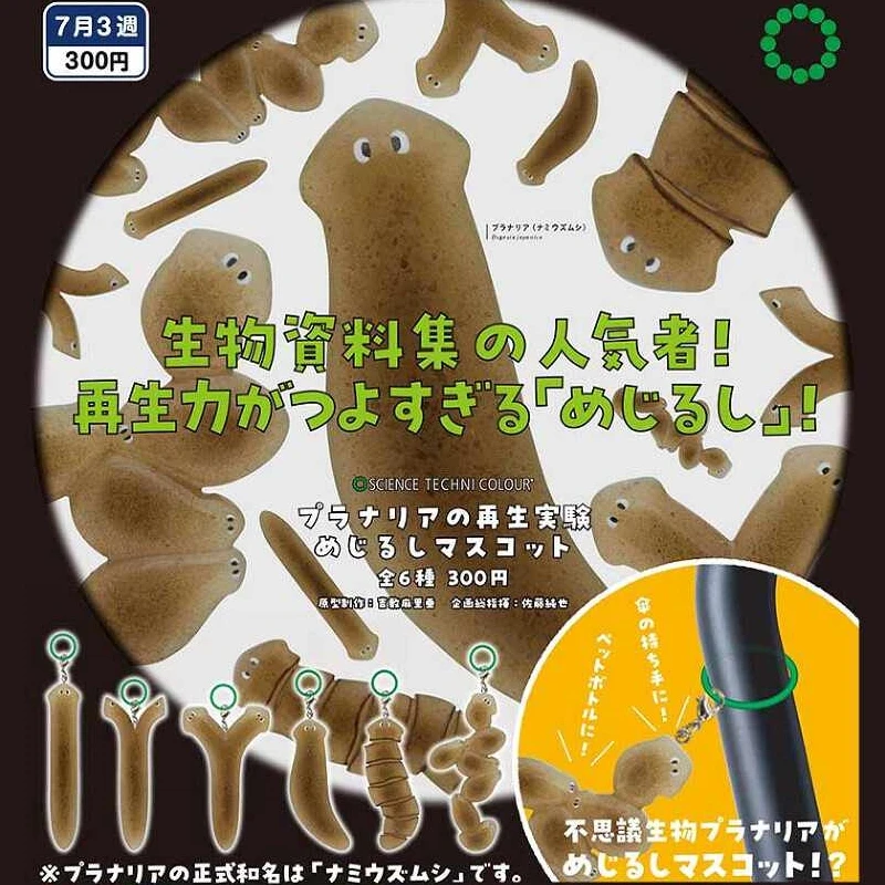 Ikimon Capsule Toys Lifelike Flatworms Planarian Regeneration Model Umbrella Mark Pendant Gashapon Figures
Ikimon Capsule Toys Lifelike Flatworms Planarian Regeneration Model Umbrella Mark Pendant Gashapon Figures