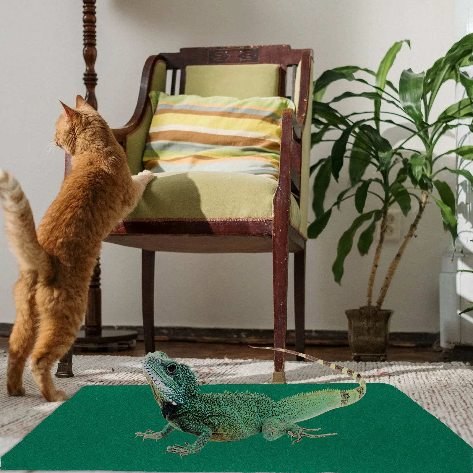 Soft Reptile Carpet 1Pc Lizard Cage Bed Mat Polyester Liner for Pet Enclosure Floor Reptile Bedding Material Non Slip Design
Soft Reptile Carpet 1Pc Lizard Cage Bed Mat Polyester Liner for Pet Enclosure Floor Reptile Bedding Material Non Slip Design