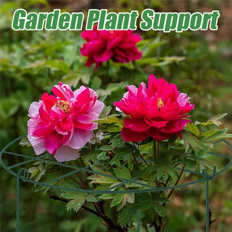 Peony Stand, Peony Support Cage, Plant Stand Growing Plant Stand Suitable For Roses, Tomatoes, Orchids-ABQU
Peony Stand, Peony Support Cage, Plant Stand Growing Plant Stand Suitable For Roses, Tomatoes, Orchids-ABQU