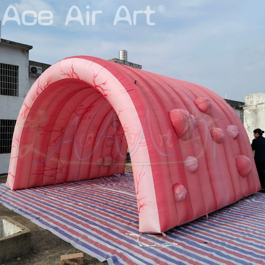 Hot Sale Inflatable Tunnel Medical Themed Event Display Use Inflatable Colon Tunnel Inflatable Intestine Tunnel
Hot Sale Inflatable Tunnel Medical Themed Event Display Use Inflatable Colon Tunnel Inflatable Intestine Tunnel