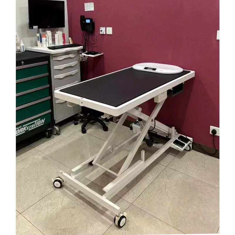 2026 Multi-purpose Pet Table, Electric Cross Lifting for Grooming & Medical Use
2026 Multi-purpose Pet Table, Electric Cross Lifting for Grooming & Medical Use
