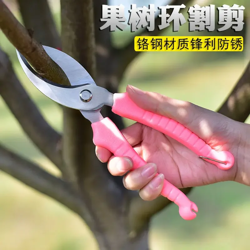 Fruit Tree Ring Cutting Knife Ring Cutting Lychee Citrus Honey Pomelo Fruit Tree Peeling Ring Cutting Knife Bud Grafting Knife
Fruit Tree Ring Cutting Knife Ring Cutting Lychee Citrus Honey Pomelo Fruit Tree Peeling Ring Cutting Knife Bud Grafting Knife