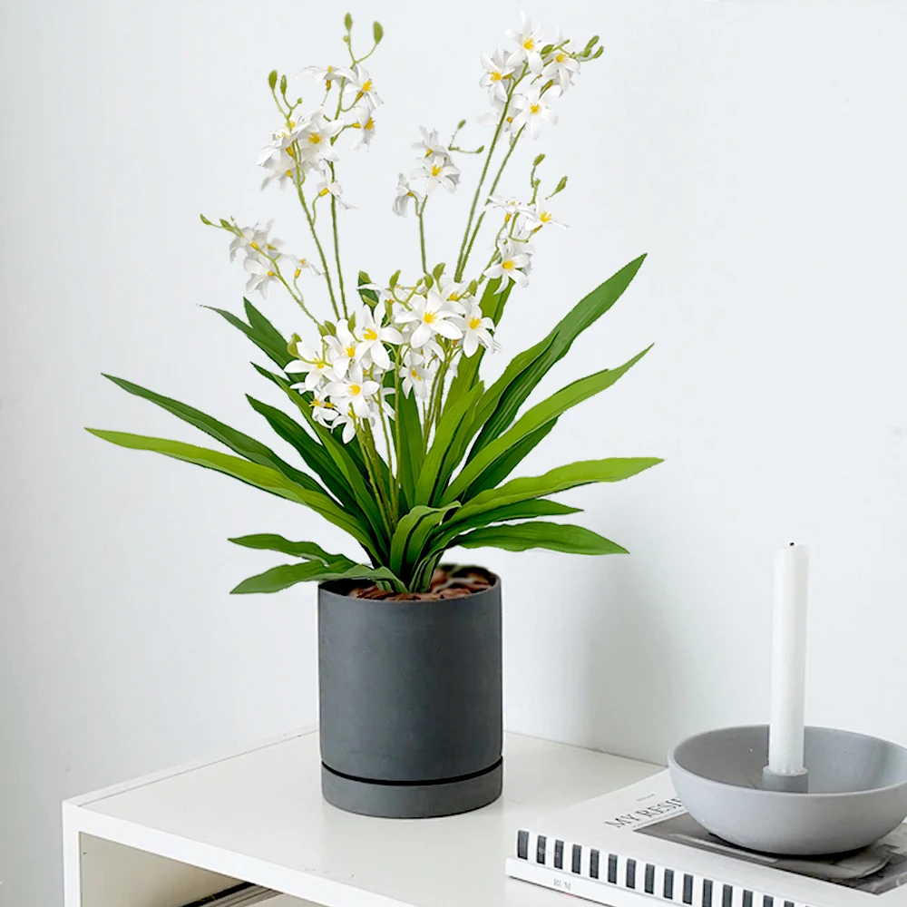7 Forks Milan Flower Spring Melody Orchids With Green Leaves Artificial Orchid Phalaenopsis Green Plants Home Decoration Wedding
7 Forks Milan Flower Spring Melody Orchids With Green Leaves Artificial Orchid Phalaenopsis Green Plants Home Decoration Wedding