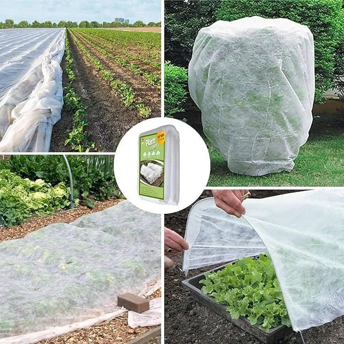 2/2.5m Premium Greenhouse Tunnel Foil Plastic Horticultural Polythene PE Sheet Transparency Greenhouse Film Anti-UV Protect Film
2/2.5m Premium Greenhouse Tunnel Foil Plastic Horticultural Polythene PE Sheet Transparency Greenhouse Film Anti-UV Protect Film