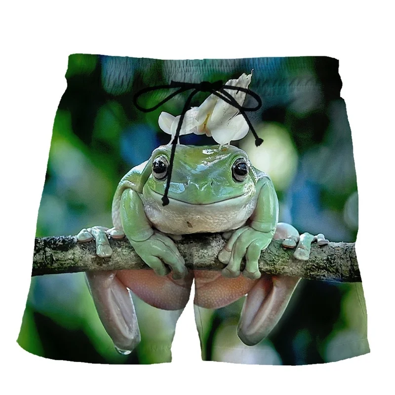 Funny Frog 3d Print Shorts Men Women Swimsuit Beach Shorts 2023 Hawaii Vacation Swim Trunks Summer Quick Dry Gym Board Shorts
Funny Frog 3d Print Shorts Men Women Swimsuit Beach Shorts 2023 Hawaii Vacation Swim Trunks Summer Quick Dry Gym Board Shorts