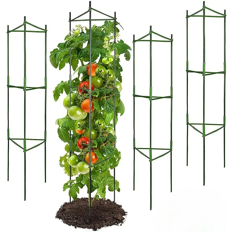 Tomato Cage, Up To 51 Inches Of Plant Stakes Vegetable Grids Assembled For Garden Climbing Plants Vegetables Flowers
Tomato Cage, Up To 51 Inches Of Plant Stakes Vegetable Grids Assembled For Garden Climbing Plants Vegetables Flowers