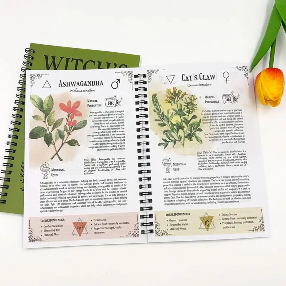 The Witch'S Herbal Codex: The Guide To Magical Botanicals, Crafting Beau Remedies Herbalism Practice & In One Folk Your T8N2
The Witch'S Herbal Codex: The Guide To Magical Botanicals, Crafting Beau Remedies Herbalism Practice & In One Folk Your T8N2