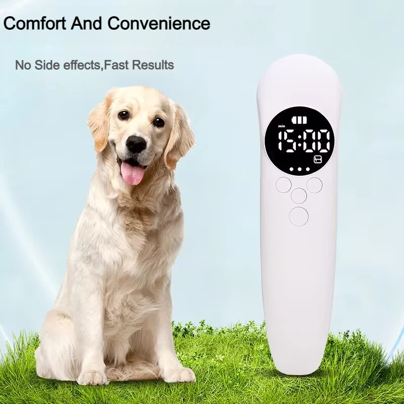 Portable Pain Relief Devices Laser Therapeutic Physiotherapy 650nm 808nm Cold Laser Treatment Red Light Therapy For Humans Pets
Portable Pain Relief Devices Laser Therapeutic Physiotherapy 650nm 808nm Cold Laser Treatment Red Light Therapy For Humans Pets