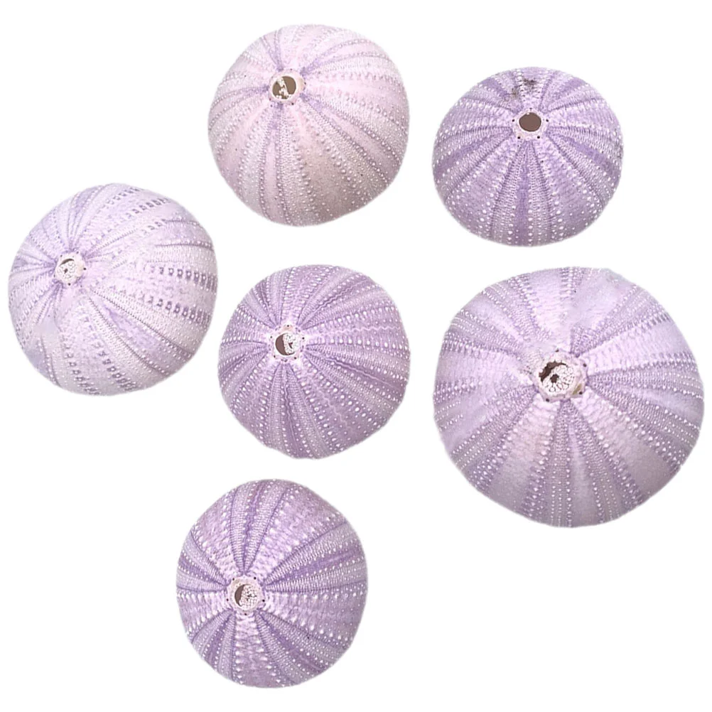 6 Pcs Natural Shell Conch Sea Urchin Decor 4 6CM Fish Tank Decors Aquarium Landscape Home Office Desk naments Safe Water
6 Pcs Natural Shell Conch Sea Urchin Decor 4 6CM Fish Tank Decors Aquarium Landscape Home Office Desk naments Safe Water