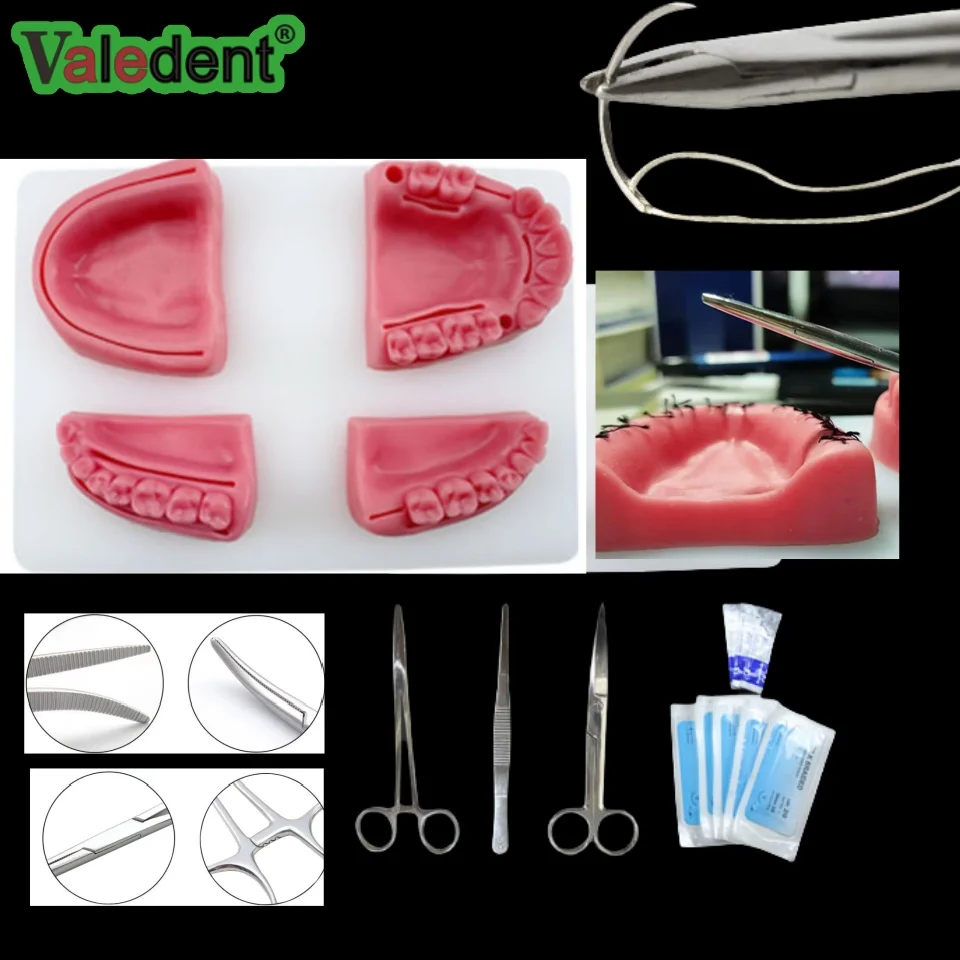 Dental Oral/Gingival Suture Module Periodontitis Suture Silicone Training Model Surgical Practice Suture Teaching Practice Tool
Dental Oral/Gingival Suture Module Periodontitis Suture Silicone Training Model Surgical Practice Suture Teaching Practice Tool