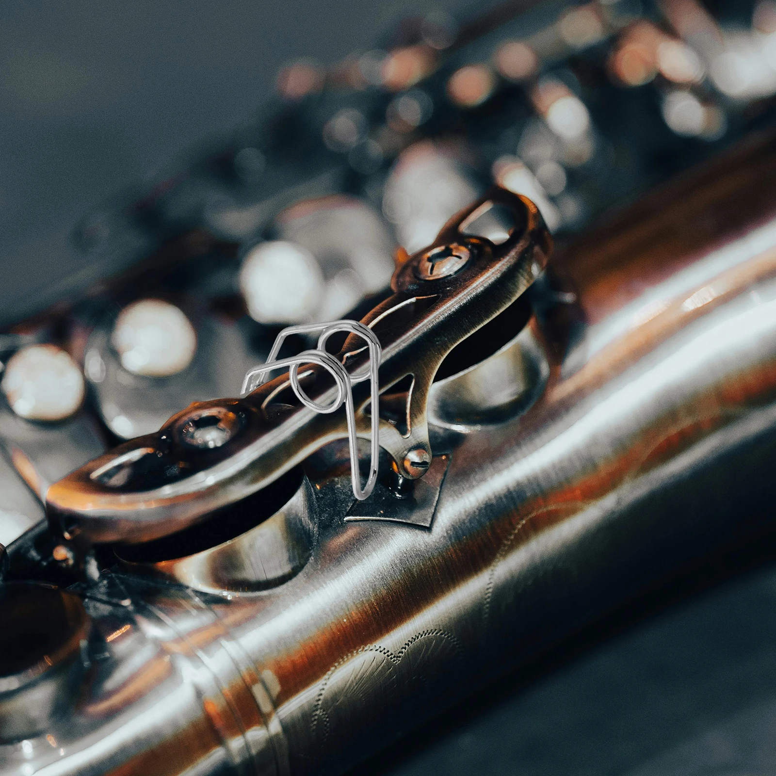 5 Pcs Brass Instrument Accessories Maintenance Music Accessory Parts Trumpet Musical
5 Pcs Brass Instrument Accessories Maintenance Music Accessory Parts Trumpet Musical