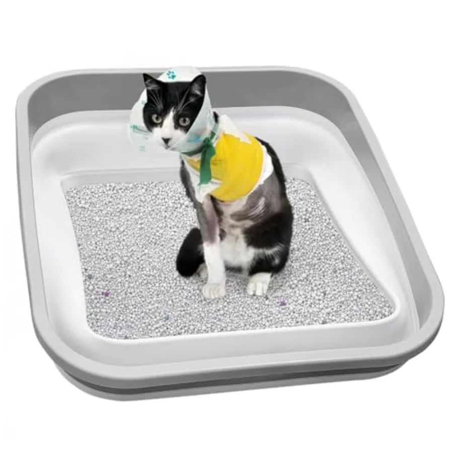 Senior Cat Litter Box Three Legged Arthritic Open Low Entry for Sick Frail Handicap Disabled Cats Older Elderly Corner
Senior Cat Litter Box Three Legged Arthritic Open Low Entry for Sick Frail Handicap Disabled Cats Older Elderly Corner