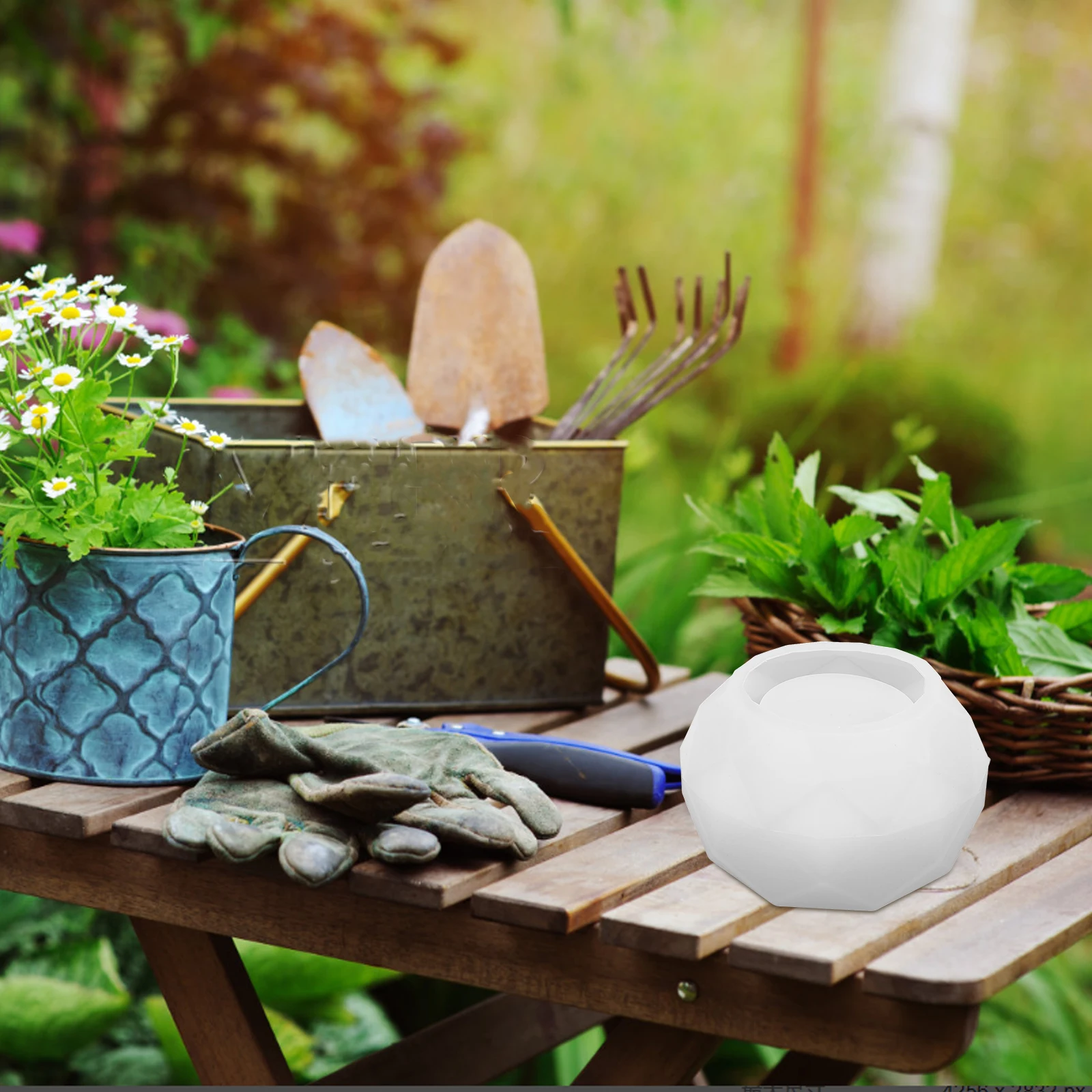 Succulent Flower Pot Mold Flowerpot Planter Silicone Planting Molds White Mould Diy
Succulent Flower Pot Mold Flowerpot Planter Silicone Planting Molds White Mould Diy