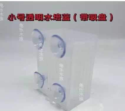 Aquarium Grass Bracket Plants Platform Hanging Planter Cups Suction Cup Design Spacesaving Aquarium Rack Terrarium Decor
Aquarium Grass Bracket Plants Platform Hanging Planter Cups Suction Cup Design Spacesaving Aquarium Rack Terrarium Decor