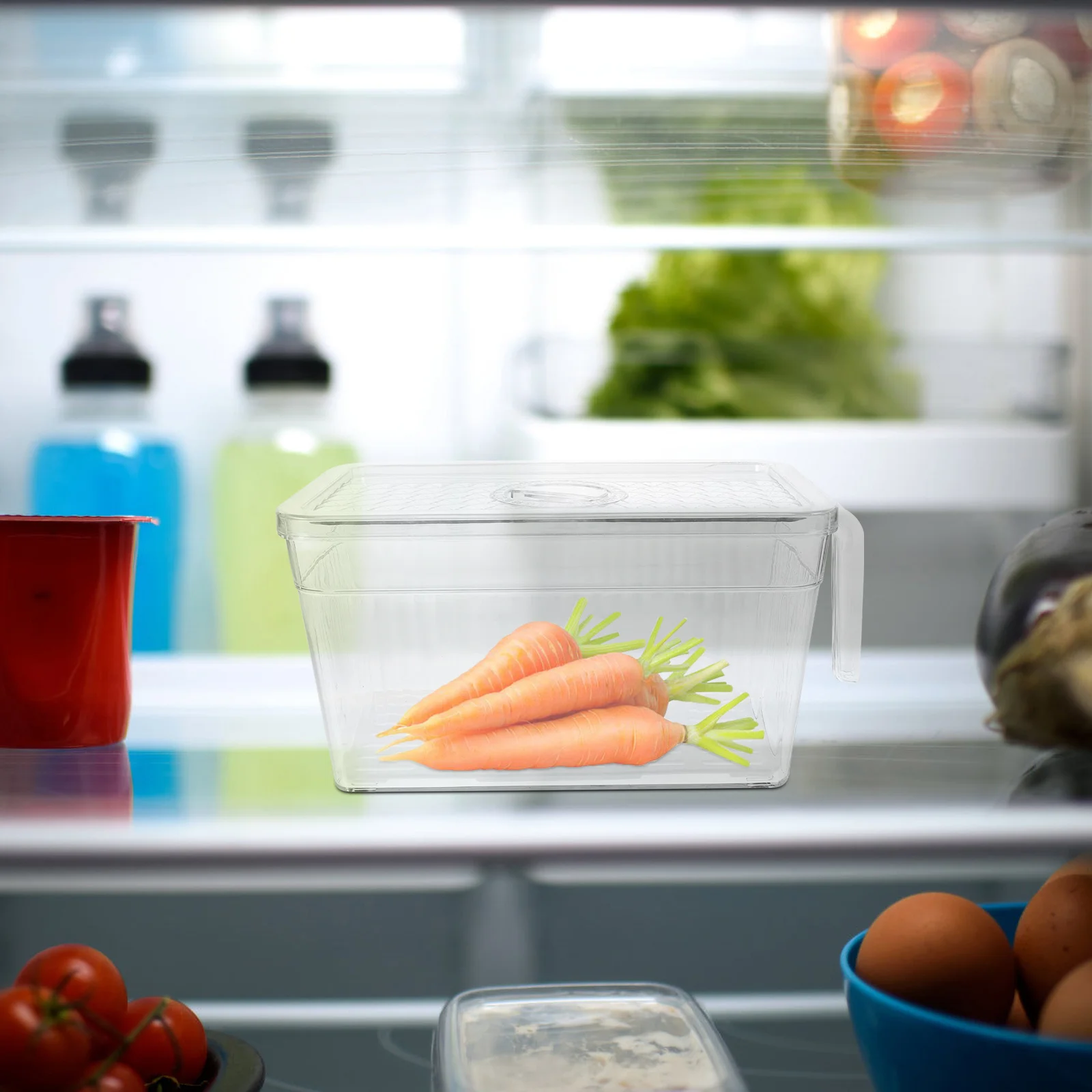 Refrigerator Storage Bin Transparent Pet Container With Handle For Vegetable Fruit Snack Kitchen Organizer Fridge Supply
Refrigerator Storage Bin Transparent Pet Container With Handle For Vegetable Fruit Snack Kitchen Organizer Fridge Supply
