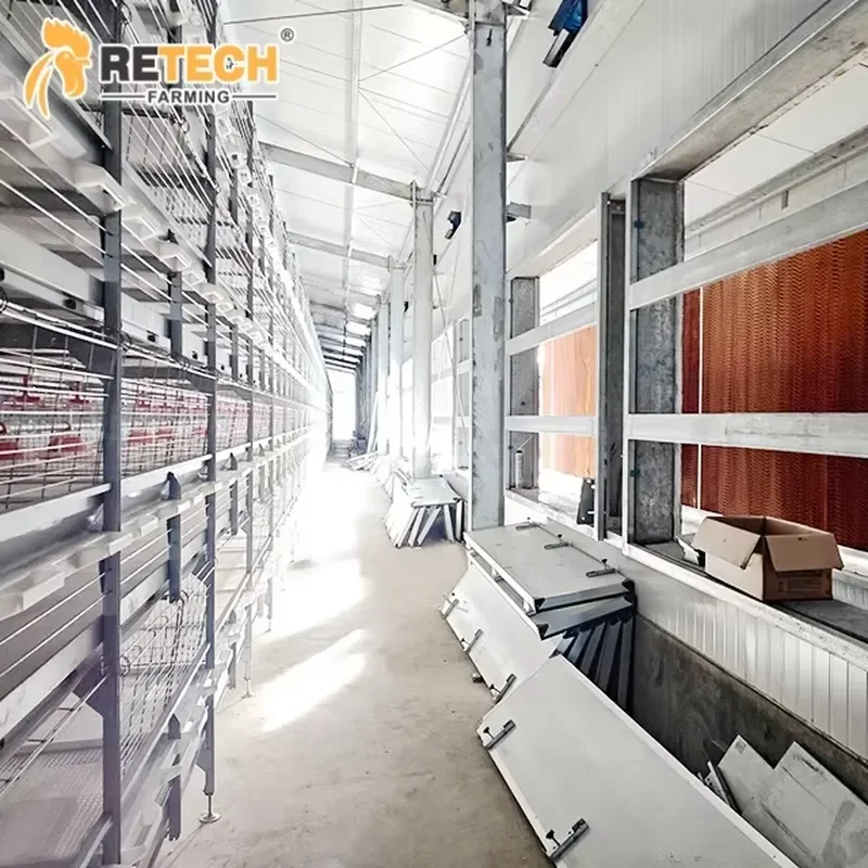 Retech Design H Type Poultry Farming Equipment for Environment Control Poultry House Broiler Cages with Automatic Feeder and
Retech Design H Type Poultry Farming Equipment for Environment Control Poultry House Broiler Cages with Automatic Feeder and