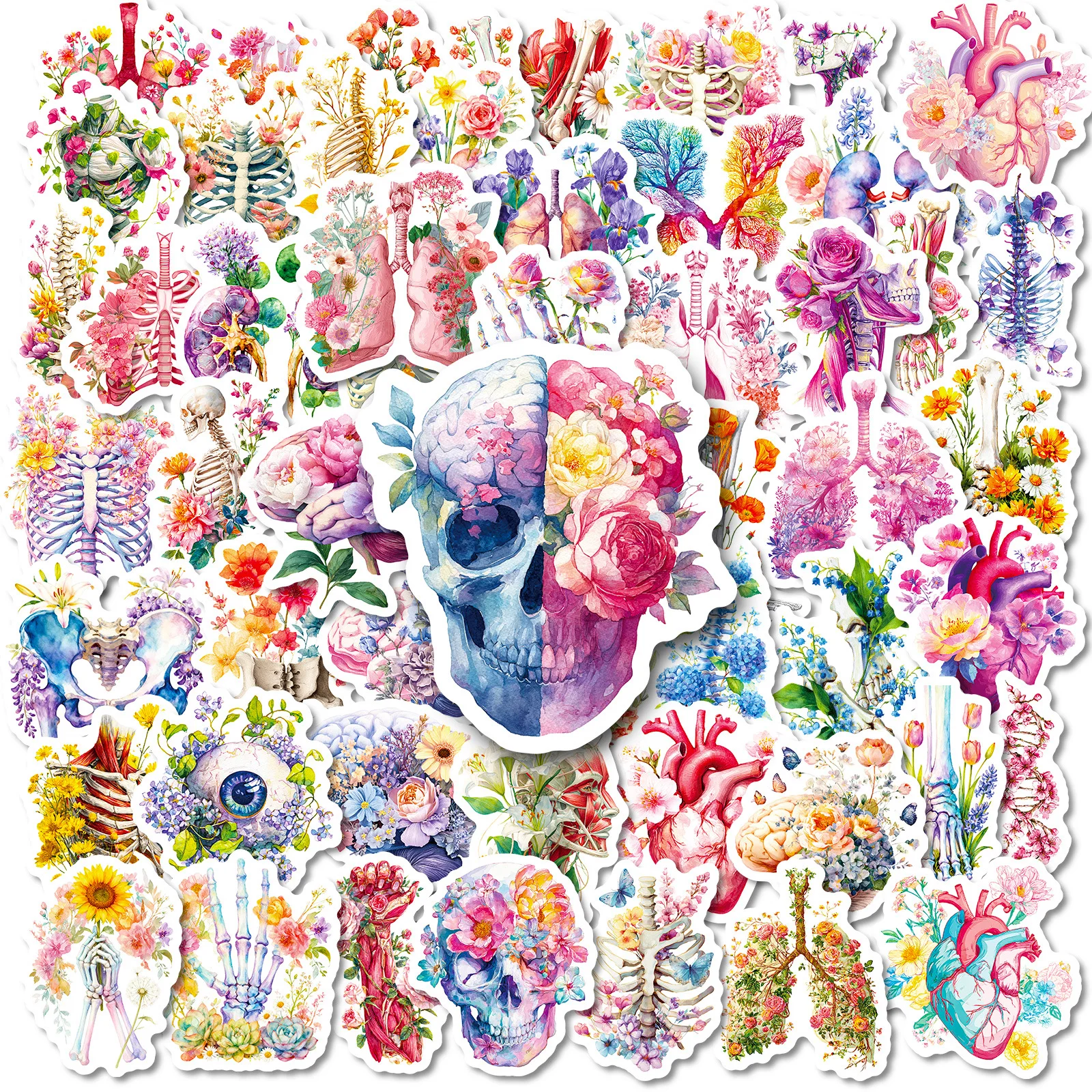 10/30/56PCS Cartoon Human Organ Floral Stickers Aesthetic Flower Medical DIY Kids Toys Guitar Luggage Suitcase Graffiti Sticker
10/30/56PCS Cartoon Human Organ Floral Stickers Aesthetic Flower Medical DIY Kids Toys Guitar Luggage Suitcase Graffiti Sticker