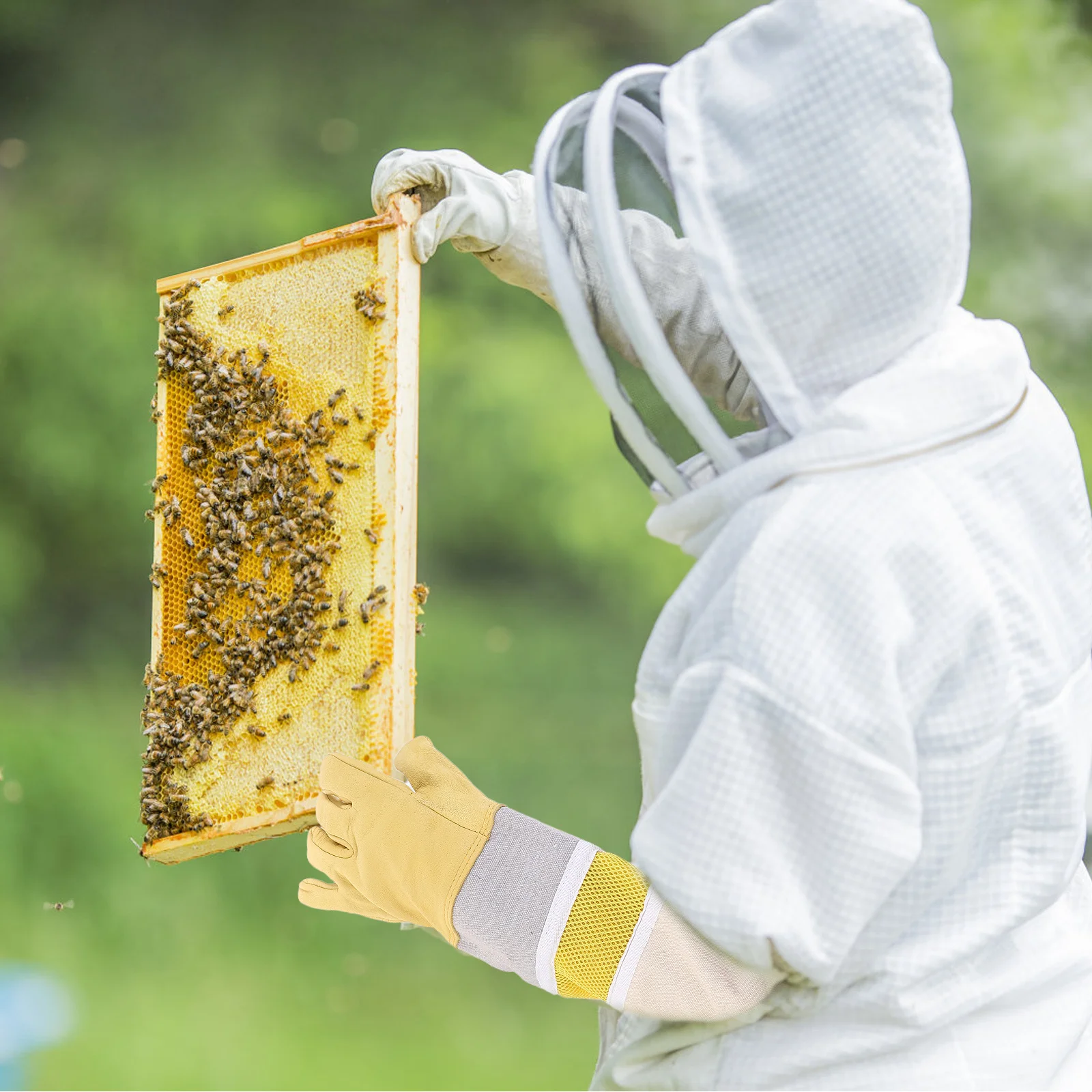 1 Pair Beekeeping Gloves Premium Protective Long Sleeve Design For Hand Safety Wear-Resistant Outdoor Apiculture Tools
1 Pair Beekeeping Gloves Premium Protective Long Sleeve Design For Hand Safety Wear-Resistant Outdoor Apiculture Tools