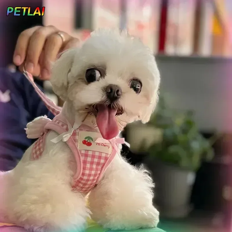 Cute little wings Dogs Harness collar pet chest back harness small dogs cats original chest back strap Cute Wings for the Dogs
Cute little wings Dogs Harness collar pet chest back harness small dogs cats original chest back strap Cute Wings for the Dogs