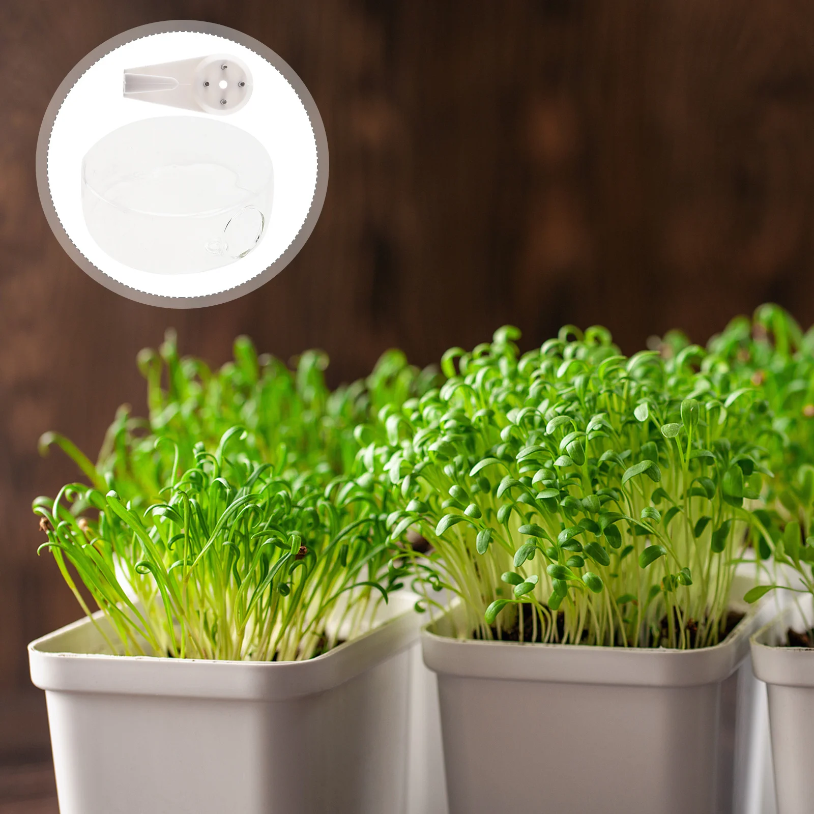 Round Glass Flower Pot Hanging Planter Wall Mounted Vase Decorative Hydroponic Pot for Living Room Wall Mounted Vase
Round Glass Flower Pot Hanging Planter Wall Mounted Vase Decorative Hydroponic Pot for Living Room Wall Mounted Vase