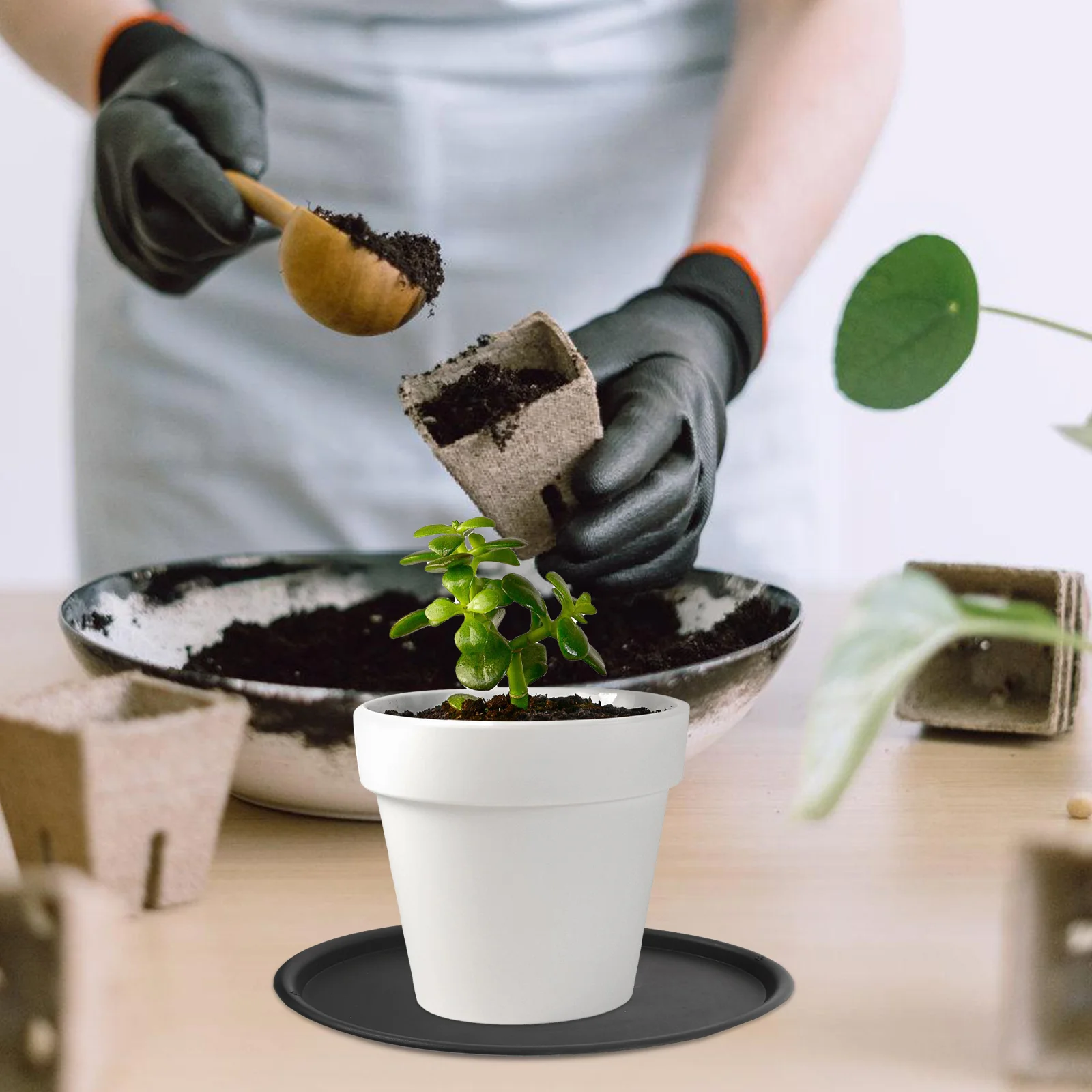10 Pcs Flower Pot Mat Plant Plastic Water Tray Drip Trays Plate Saucer Decorative Saucers Deep Coasters Plants
10 Pcs Flower Pot Mat Plant Plastic Water Tray Drip Trays Plate Saucer Decorative Saucers Deep Coasters Plants