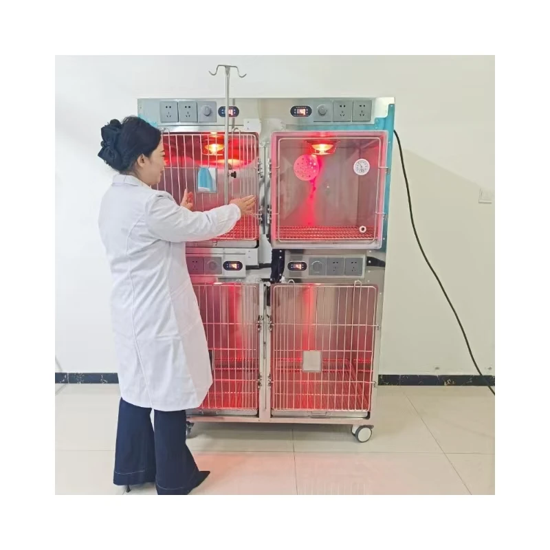 Animal and Veterinary Equipment Stainless Steel Pet Dog Cage Oxygen Icu Cage Hospitalization Treatment Cage
Animal and Veterinary Equipment Stainless Steel Pet Dog Cage Oxygen Icu Cage Hospitalization Treatment Cage