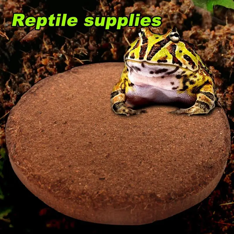 Coco Substrate Terrarium Bedding For Reptile Natural Coco Fiber Brick Husk Substrate Bedding For Reptiles Geckos Lizards
Coco Substrate Terrarium Bedding For Reptile Natural Coco Fiber Brick Husk Substrate Bedding For Reptiles Geckos Lizards