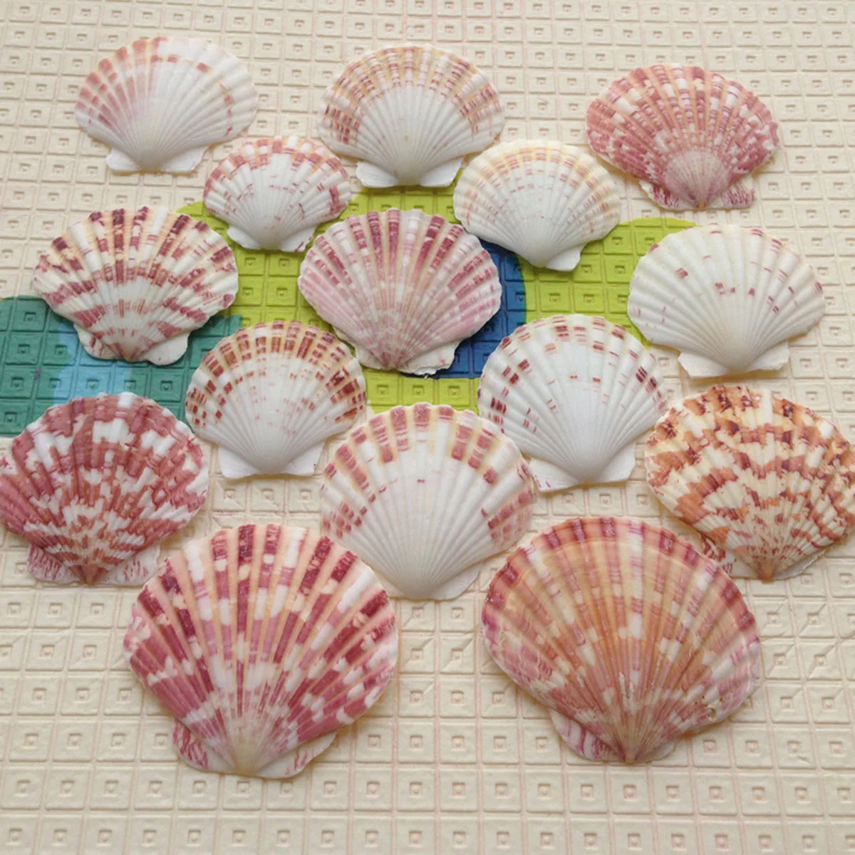 50Pcs Decorative Seashells Seashell Charms Mediterranean Style 4-8cm for Beach Party Home Decor Craft
50Pcs Decorative Seashells Seashell Charms Mediterranean Style 4-8cm for Beach Party Home Decor Craft