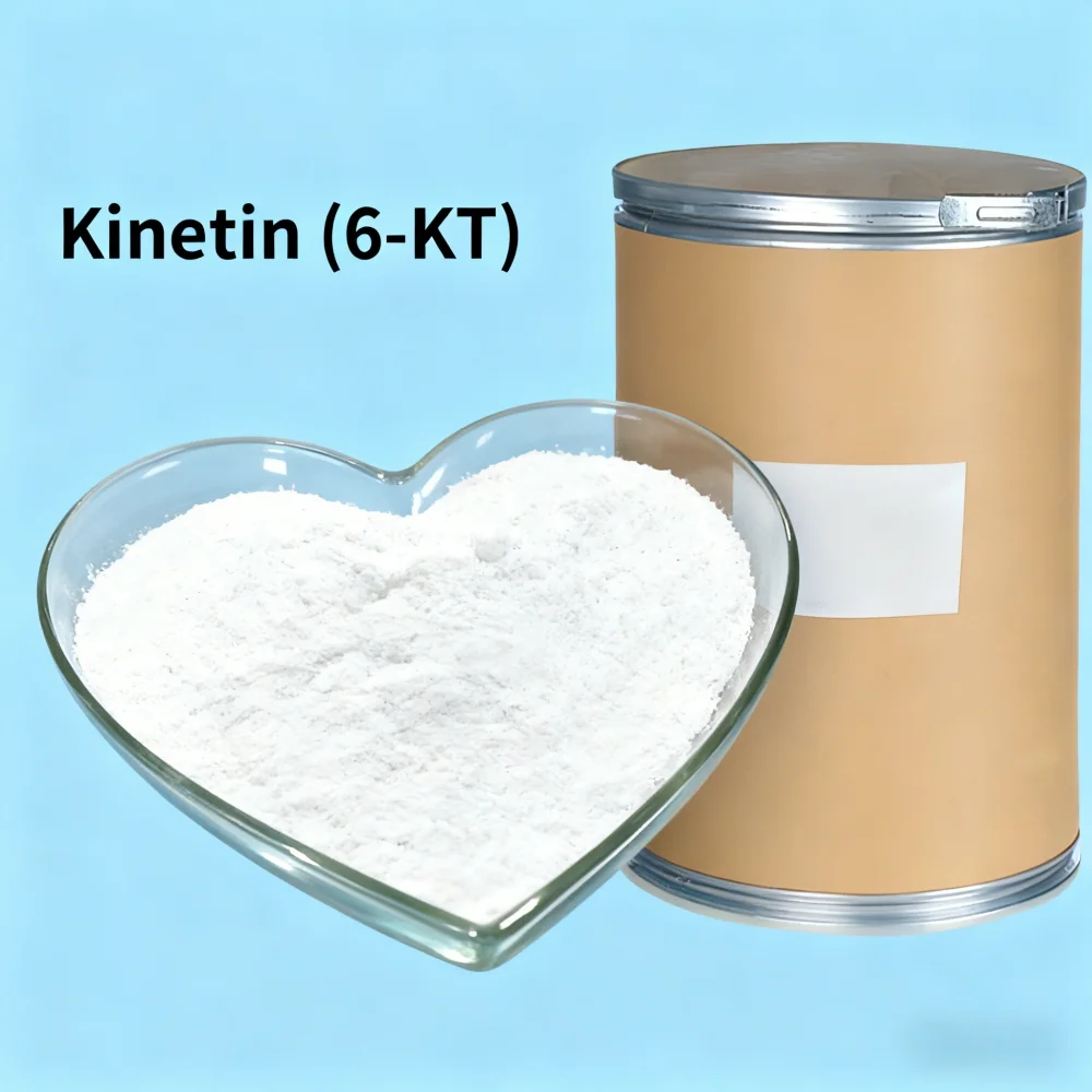 Kinetin 6-Furfurylaminopurine 6-KT: 98% TC Cytokinin Регулятор роста растений
Kinetin 6-Furfurylaminopurine 6-KT: 98% TC Cytokinin Регулятор роста растений