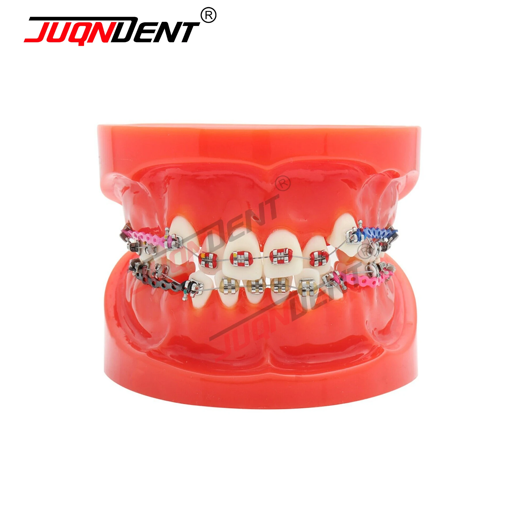 Dental Orthodontic Teeth Model Orthodontic Bracket Demonstration Dental Laboratory Teaching Equipment
Dental Orthodontic Teeth Model Orthodontic Bracket Demonstration Dental Laboratory Teaching Equipment
