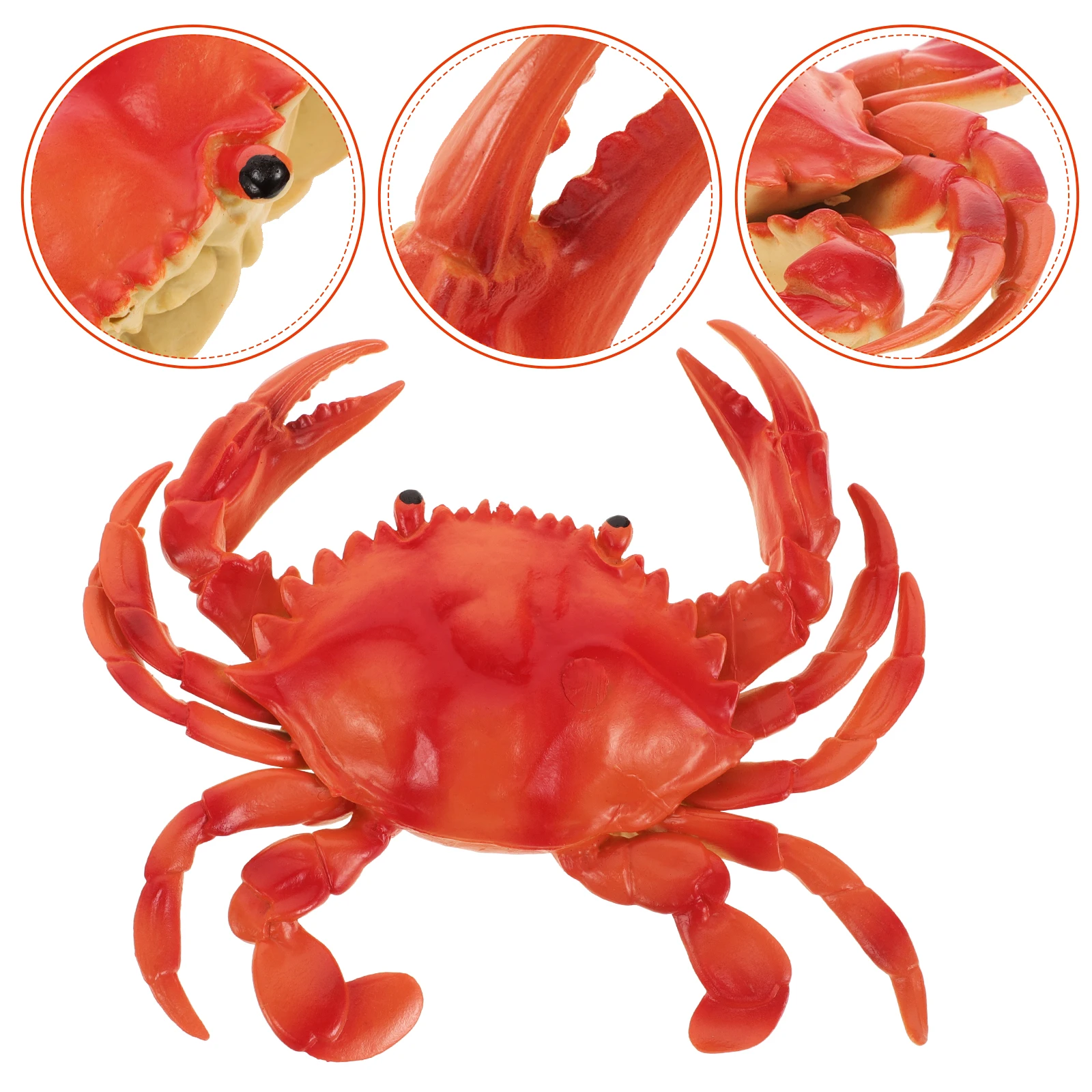 Marine Animal Ornament Large Realistic Crab Decoration for Garden Landscape Sea Simulation Prop Creative Crab Decorative Piece
Marine Animal Ornament Large Realistic Crab Decoration for Garden Landscape Sea Simulation Prop Creative Crab Decorative Piece