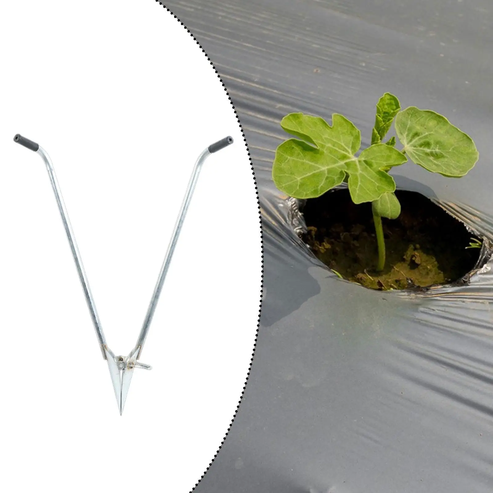 Manual Seedling Transplanter Garden Bulb Transplanter Vegetable Hole Digger Multipurpose Long Handled Bulb Planter for Greens
Manual Seedling Transplanter Garden Bulb Transplanter Vegetable Hole Digger Multipurpose Long Handled Bulb Planter for Greens