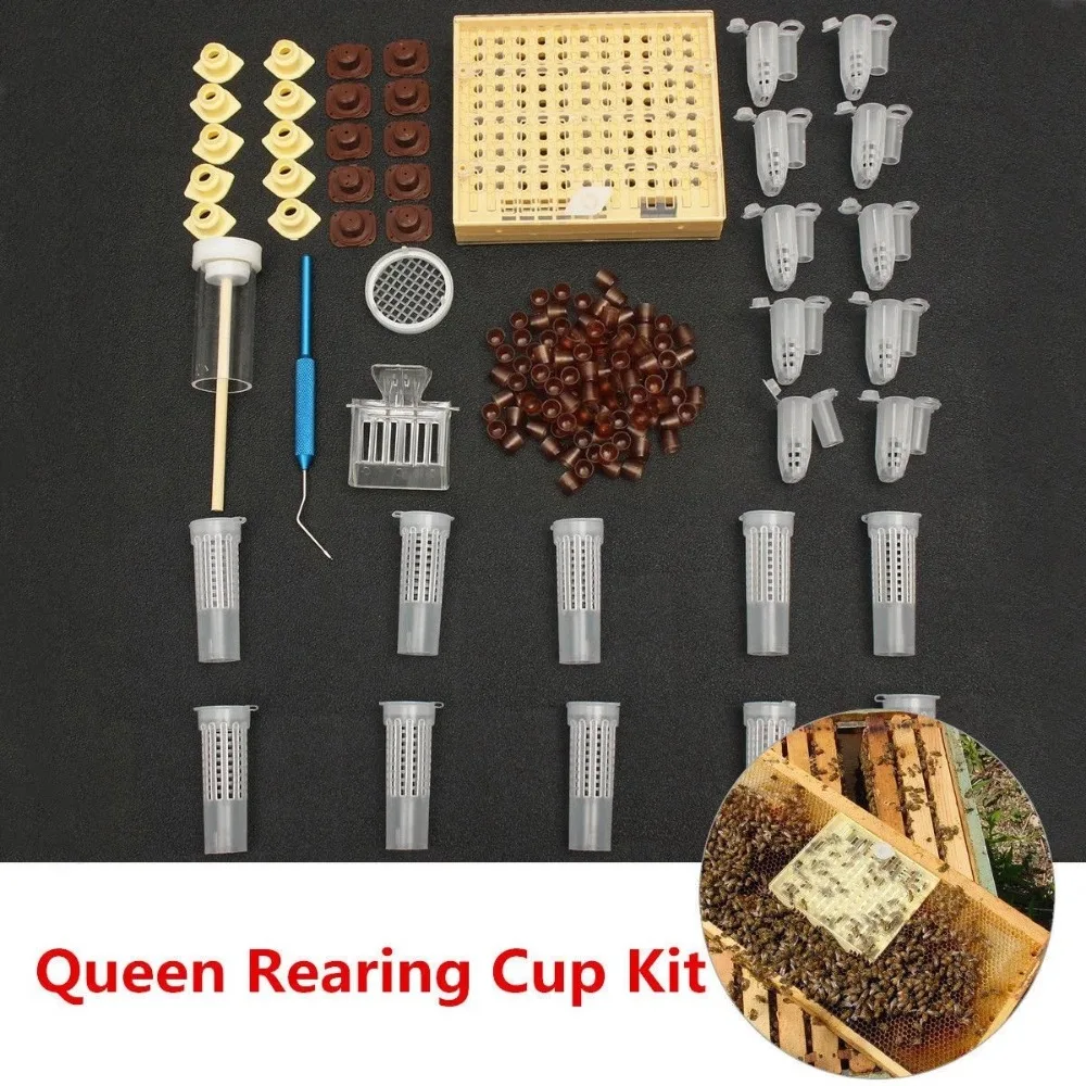 Beekeeping Queen Rearing Tools Set Queen Rearing Box Grafting Needle Bee Marking Bottle Apiculture Breeding Accessories
Beekeeping Queen Rearing Tools Set Queen Rearing Box Grafting Needle Bee Marking Bottle Apiculture Breeding Accessories