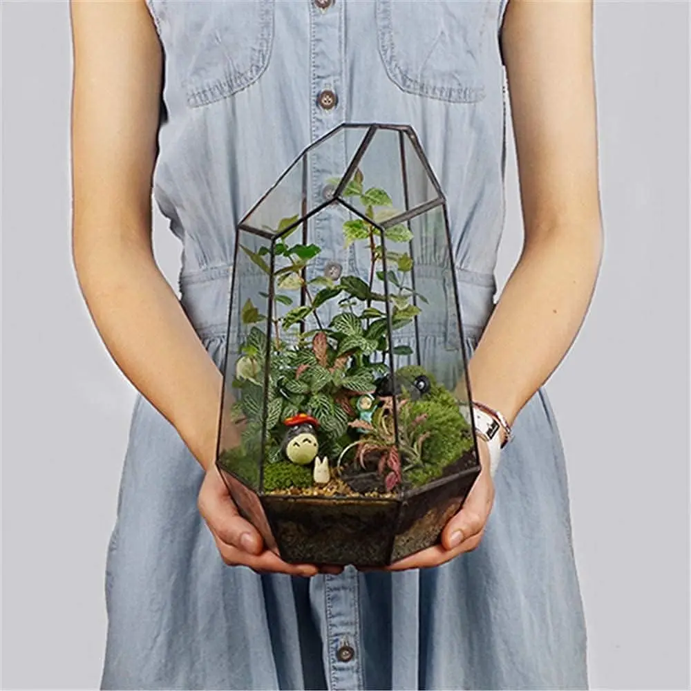 Irregular Geometric Glass Terrarium for Indoor Plants, 6.5x5.7x9.8" Black Opened Planter for Cacti, Succulents, Moss, Home Office Decor
Irregular Geometric Glass Terrarium for Indoor Plants, 6.5x5.7x9.8" Black Opened Planter for Cacti, Succulents, Moss, Home Office Decor