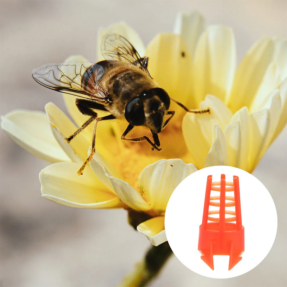 60 Pcs Bee Breeding Cage Caps Wangtai Protective -bee Protector Cages Plastic
60 Pcs Bee Breeding Cage Caps Wangtai Protective -bee Protector Cages Plastic
