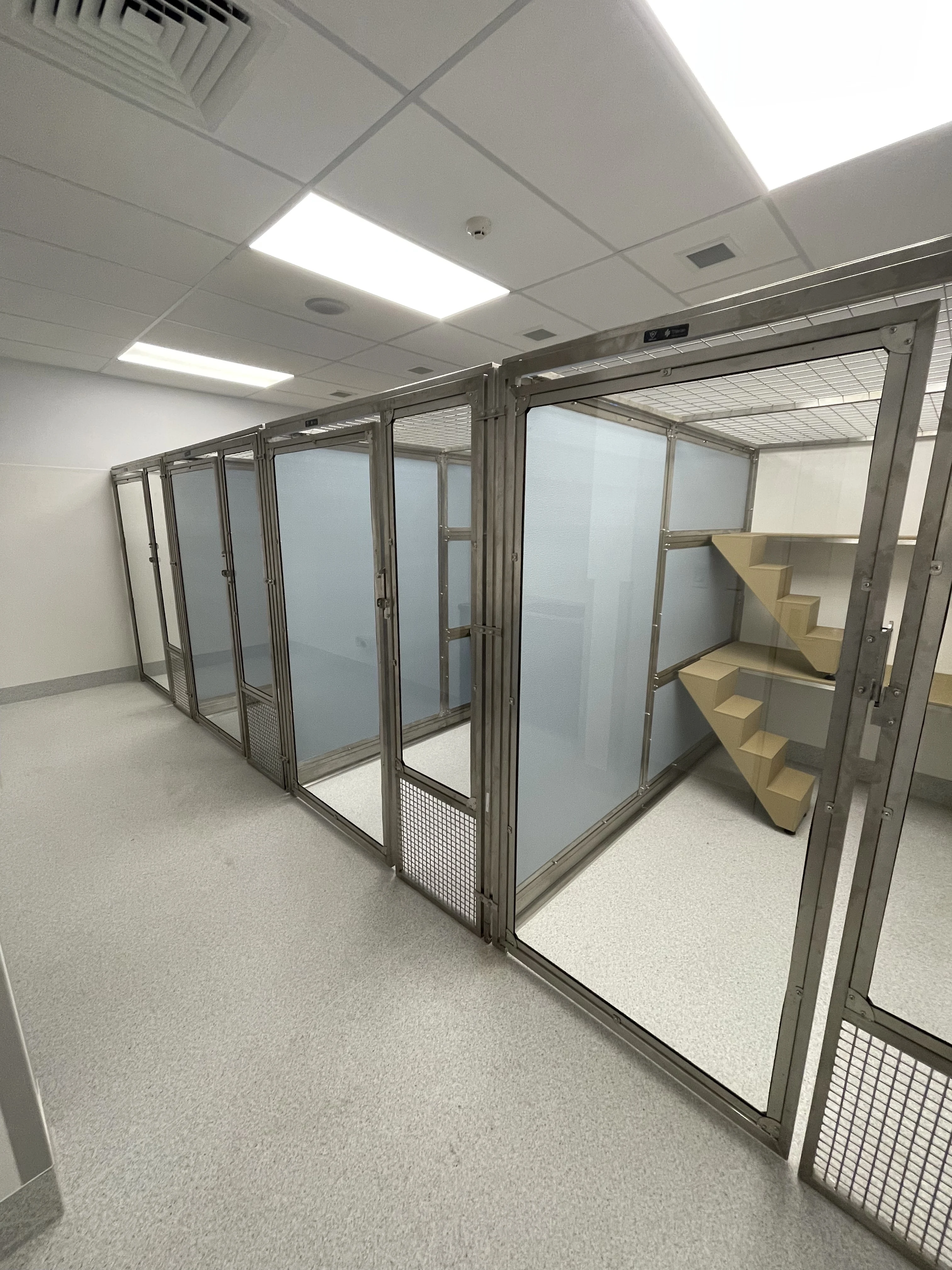 Large Kennel Glass Door Tempered Glass Dog Kennel HDPE / Stainless Steel Panel Custom Pet Enclosure
Large Kennel Glass Door Tempered Glass Dog Kennel HDPE / Stainless Steel Panel Custom Pet Enclosure