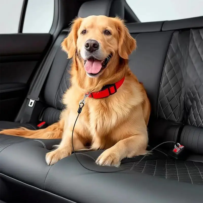 Chew Proof Leash Extender Coated Steel No-Chew Dog Car Seatbelt Safety Restraint Strong Puppy Vehicle Seat Belt Strap With Heavy
Chew Proof Leash Extender Coated Steel No-Chew Dog Car Seatbelt Safety Restraint Strong Puppy Vehicle Seat Belt Strap With Heavy