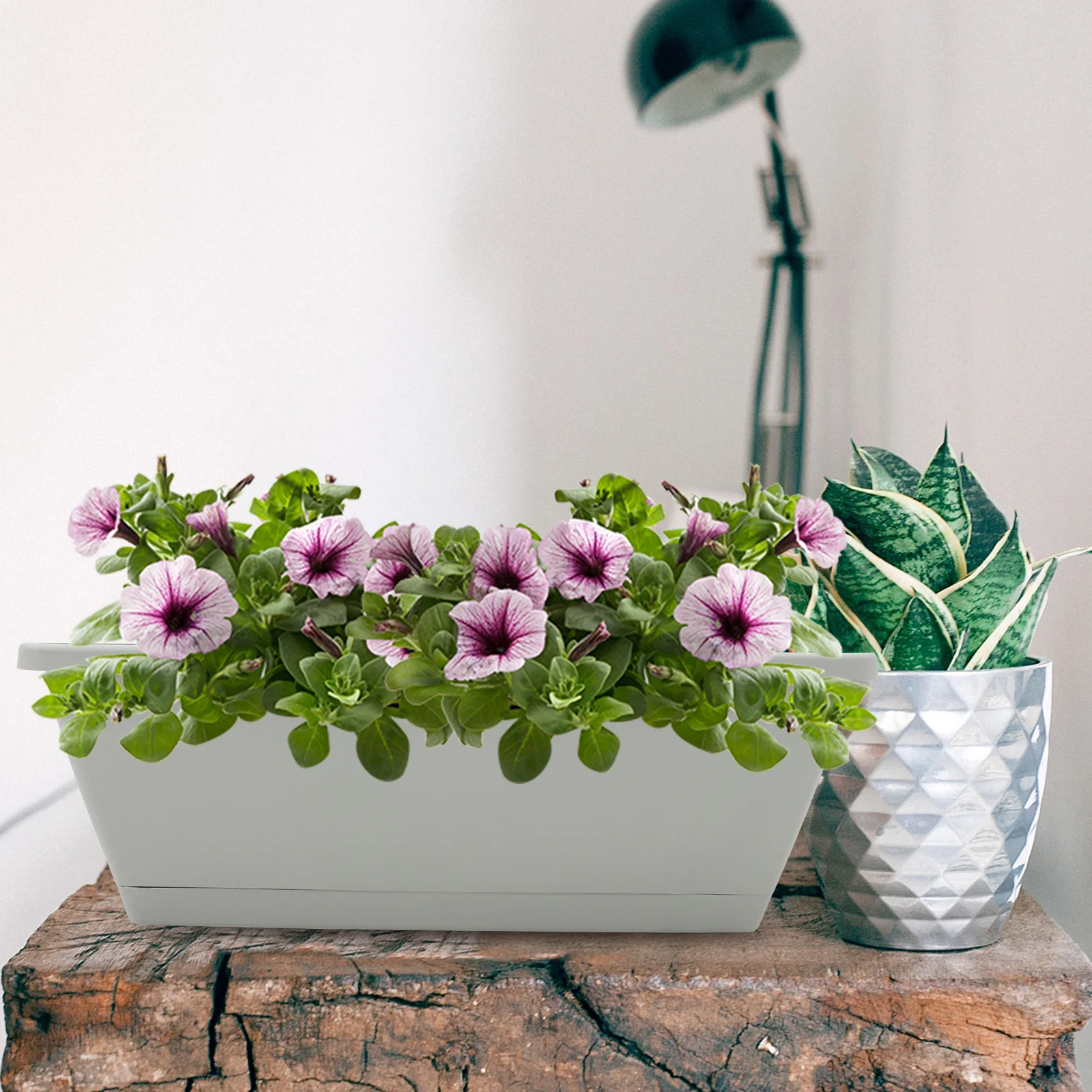 4 set Large Rectangular Planters Balcony Garden Window Box Vegetable Flower Pot Resin Succulent Container Lightweight Durable
4 set Large Rectangular Planters Balcony Garden Window Box Vegetable Flower Pot Resin Succulent Container Lightweight Durable