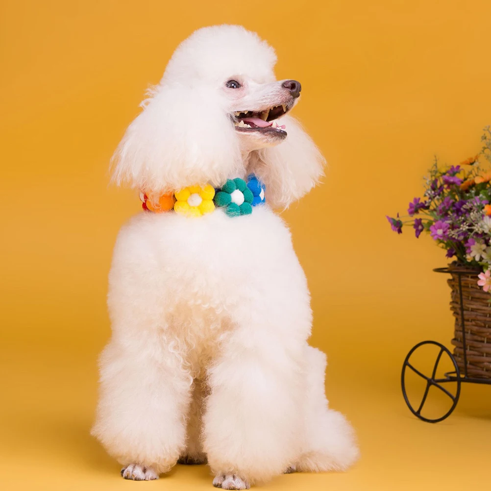 Colorful Sun Cotton Cat Kitten Flower Neckchain Collar Dog Chain Necklace Supply Collar For Cat Neckchain Supply
Colorful Sun Cotton Cat Kitten Flower Neckchain Collar Dog Chain Necklace Supply Collar For Cat Neckchain Supply