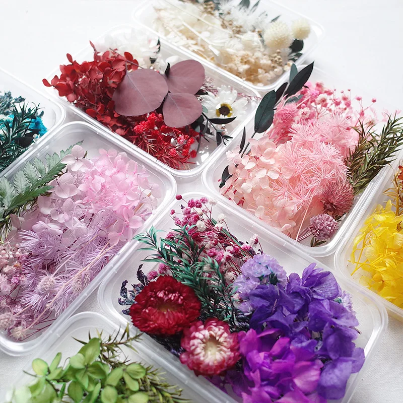 Natural Dried Flowers Box DIY Photo Frame Dry Flower Material Bag Epoxy Resin Flower Decoration Christmas Decoration Accessories
Natural Dried Flowers Box DIY Photo Frame Dry Flower Material Bag Epoxy Resin Flower Decoration Christmas Decoration Accessories