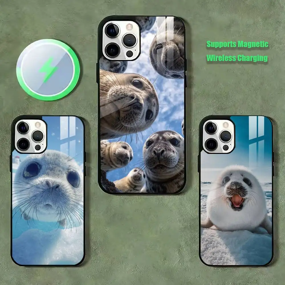 mammal Seal Funny Phone Case For iPhone17,16,15,14,13,12,11 Plus,Pro Supports Magnetic Wireless Charging
mammal Seal Funny Phone Case For iPhone17,16,15,14,13,12,11 Plus,Pro Supports Magnetic Wireless Charging