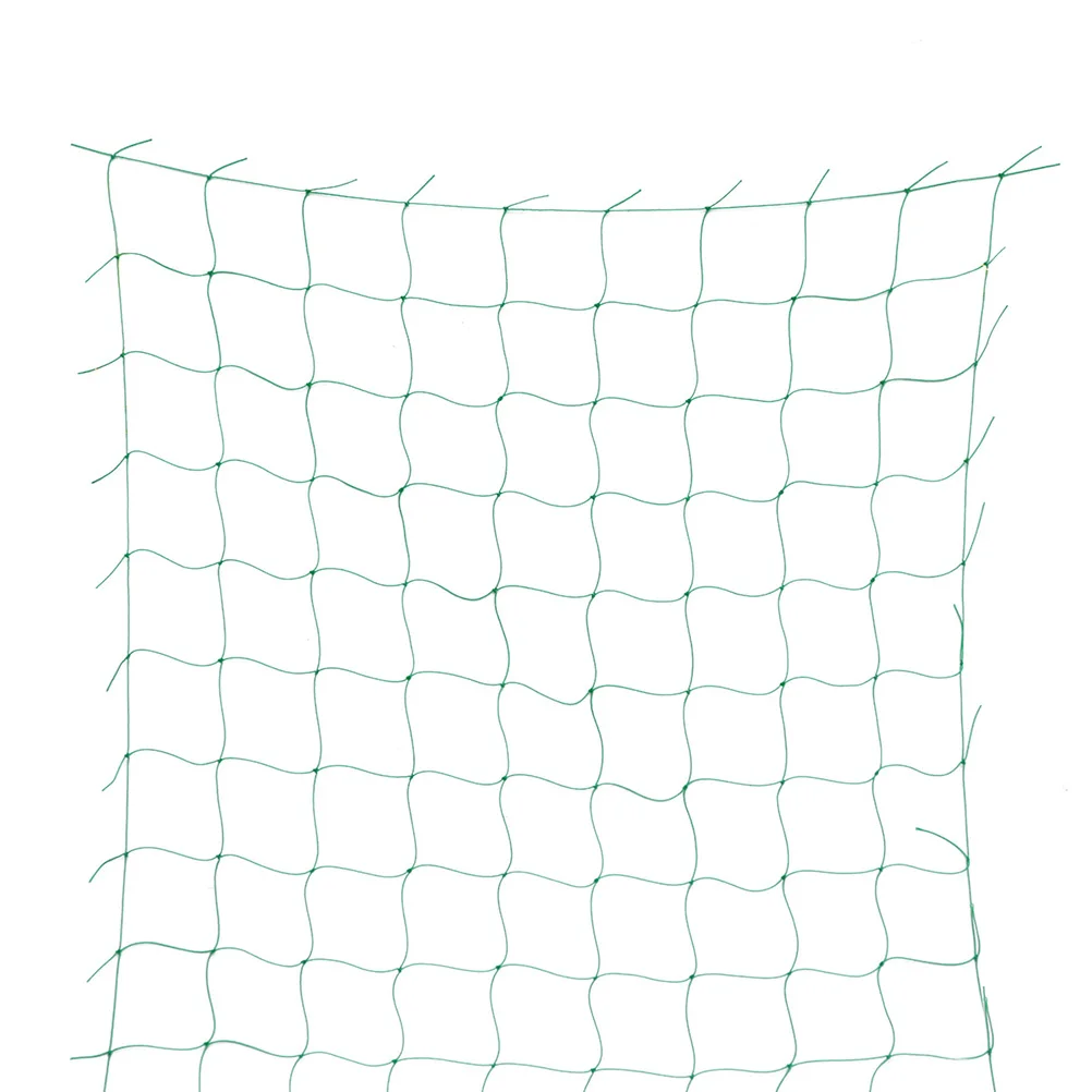 2Pcs Morning Glory Vine Net Gardening Climbing Petunia Fruit Network Soft Nylon Material Save Space Healthy Growth Green Color
2Pcs Morning Glory Vine Net Gardening Climbing Petunia Fruit Network Soft Nylon Material Save Space Healthy Growth Green Color