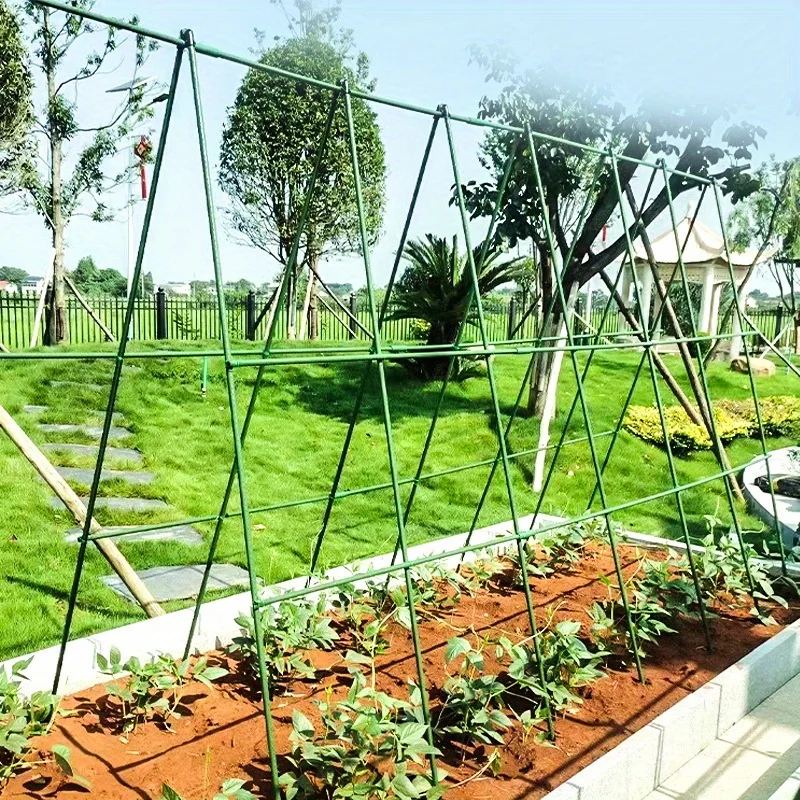 Pop 0pcs A-Frame Vegetable Plant Climbing Frame Kit Grow Supports Fit Climbing Rustproof Vine Cucumber Trellis Tomatoes xs63-fro
Pop 0pcs A-Frame Vegetable Plant Climbing Frame Kit Grow Supports Fit Climbing Rustproof Vine Cucumber Trellis Tomatoes xs63-fro