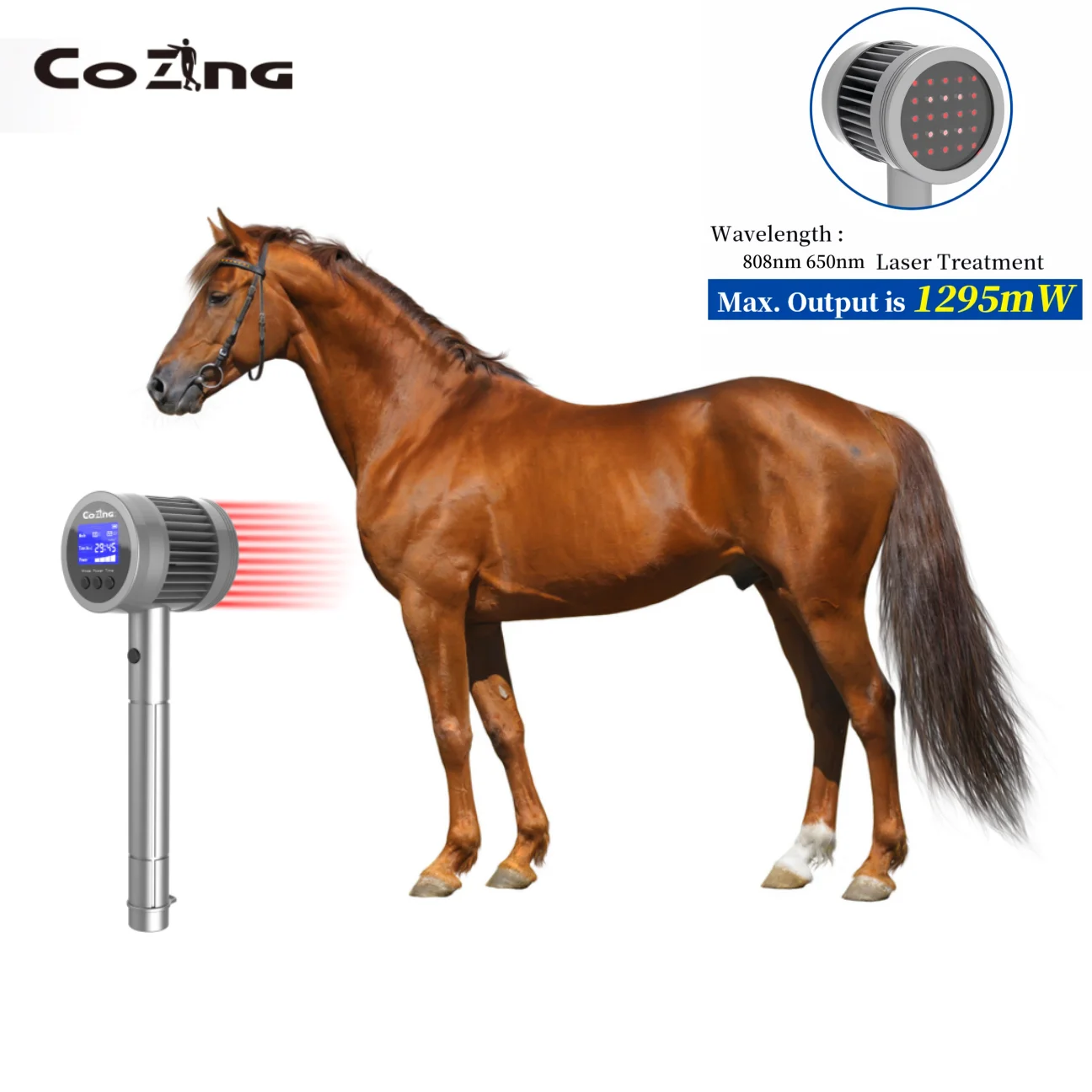 COZING ветеринарный лазер для физиотерапии 808 нм * 6 650 нм * 19 устройство для лошадей, кошек, собак, лазерная терапия для домашних животных
COZING ветеринарный лазер для физиотерапии 808 нм * 6 650 нм * 19 устройство для лошадей, кошек, собак, лазерная терапия для домашних животных