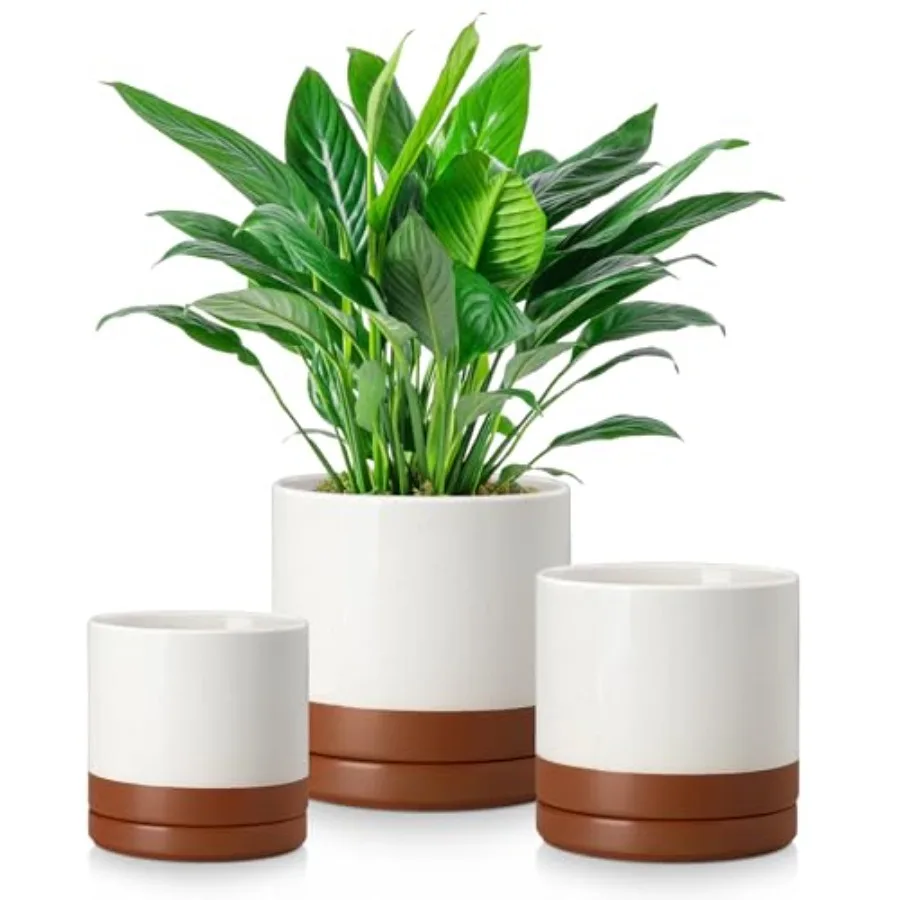 Ceramic Plant Pots, 3 Pcs Planters for Indoor Plants, 4.25+5.25+6.25 Inch Flower Pots with Drainage, Plant Pots Indoor for Succ
Ceramic Plant Pots, 3 Pcs Planters for Indoor Plants, 4.25+5.25+6.25 Inch Flower Pots with Drainage, Plant Pots Indoor for Succ