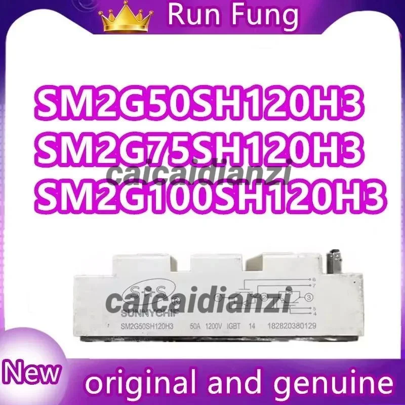 SM2G100SH120H3 SM2G50SH120H3 SM2G75SH120H3 50A 1200V 75A 100A New Original IGBT Module
SM2G100SH120H3 SM2G50SH120H3 SM2G75SH120H3 50A 1200V 75A 100A New Original IGBT Module