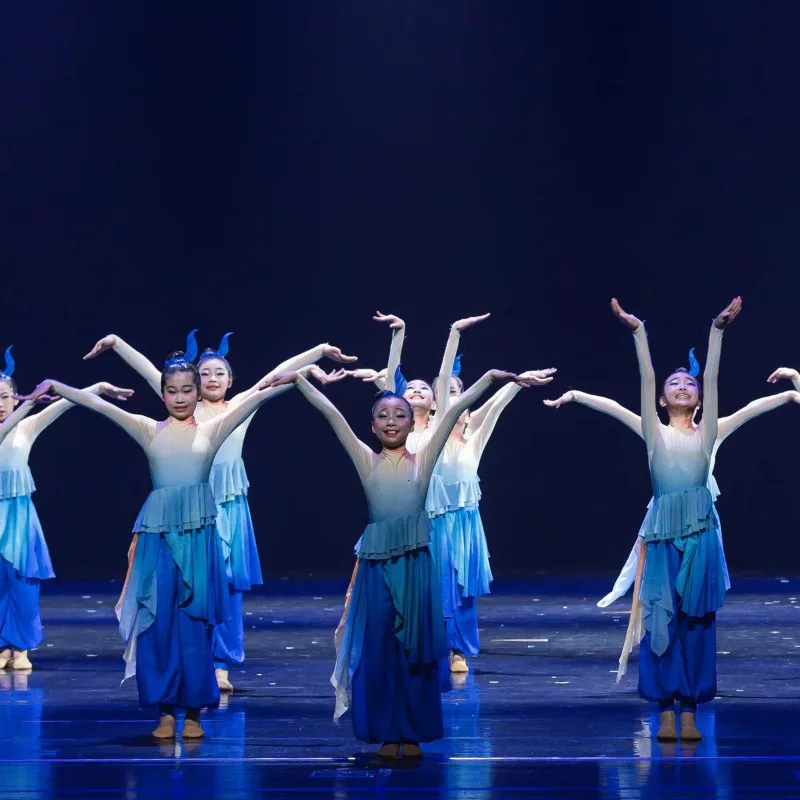 Chasing waves children's dance performance costumes children's classical dance performance costumes dance costumes
Chasing waves children's dance performance costumes children's classical dance performance costumes dance costumes
