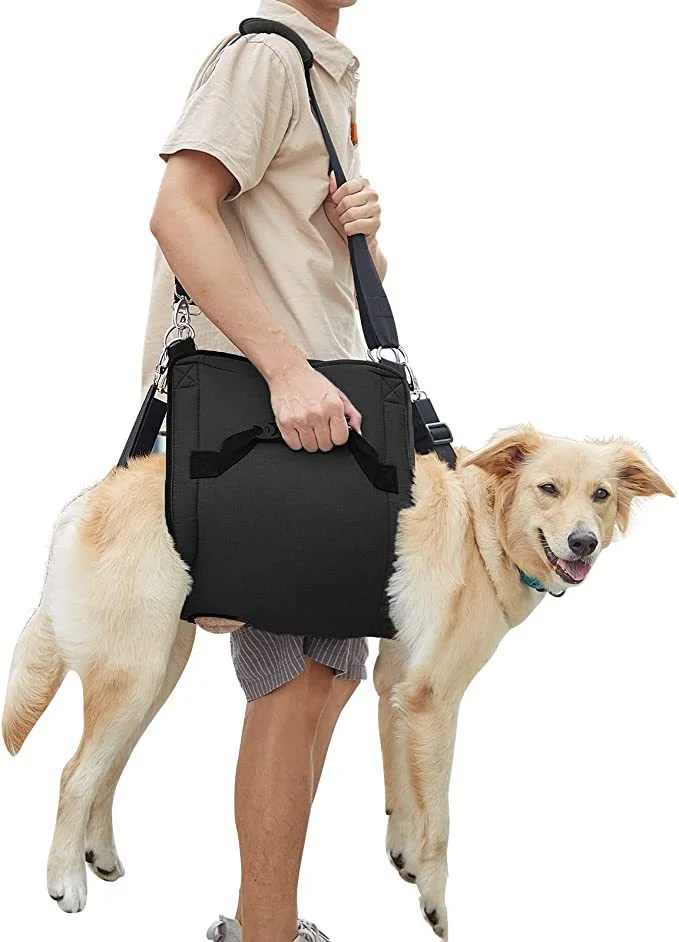 Dog Support Harness for Back Legs Abdomen Support Harness To Help Lift Dog Portable Dog Sling for Disability Old Dog Walking Aid
Dog Support Harness for Back Legs Abdomen Support Harness To Help Lift Dog Portable Dog Sling for Disability Old Dog Walking Aid