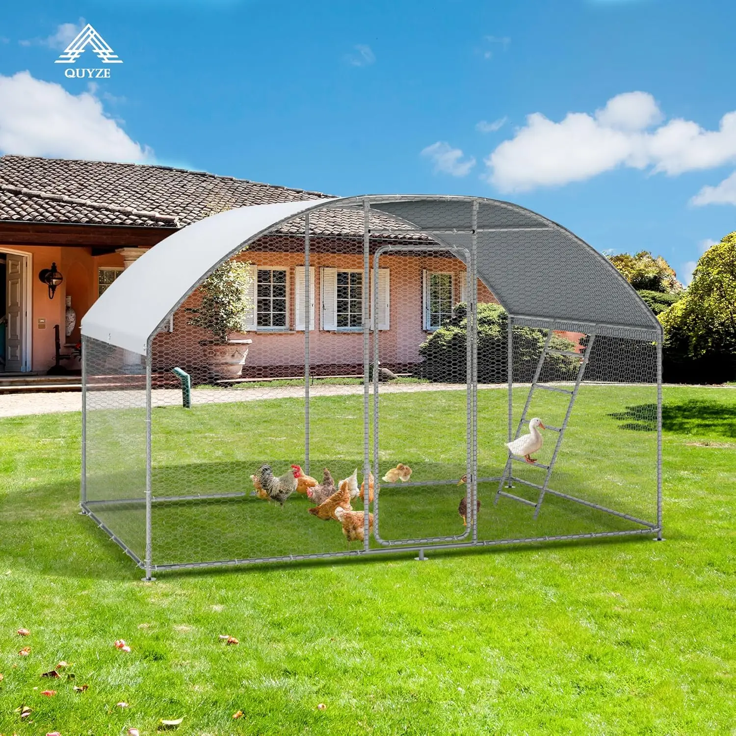 Metal Chicken Coop 9 8 x 6 6 x6 6 Walk in Chicken Run for 10 Chicken with Upgrade Roosting Perch Water Resident and Anti UV
Metal Chicken Coop 9 8 x 6 6 x6 6 Walk in Chicken Run for 10 Chicken with Upgrade Roosting Perch Water Resident and Anti UV