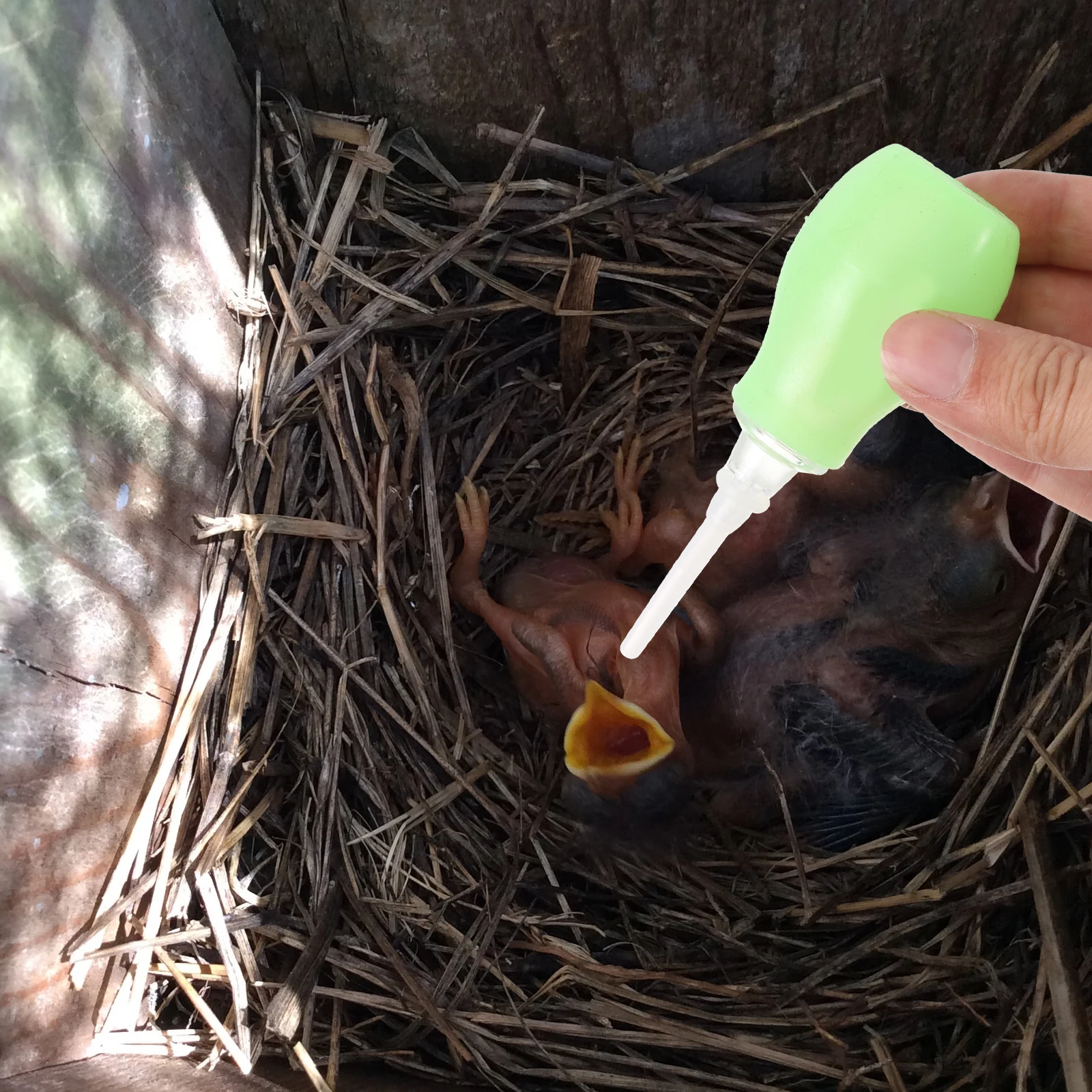 Plastic Bird Weaning Tool Bright Material Easy Use Design Survival Feeder Supplement Liquid Device Pet
Plastic Bird Weaning Tool Bright Material Easy Use Design Survival Feeder Supplement Liquid Device Pet